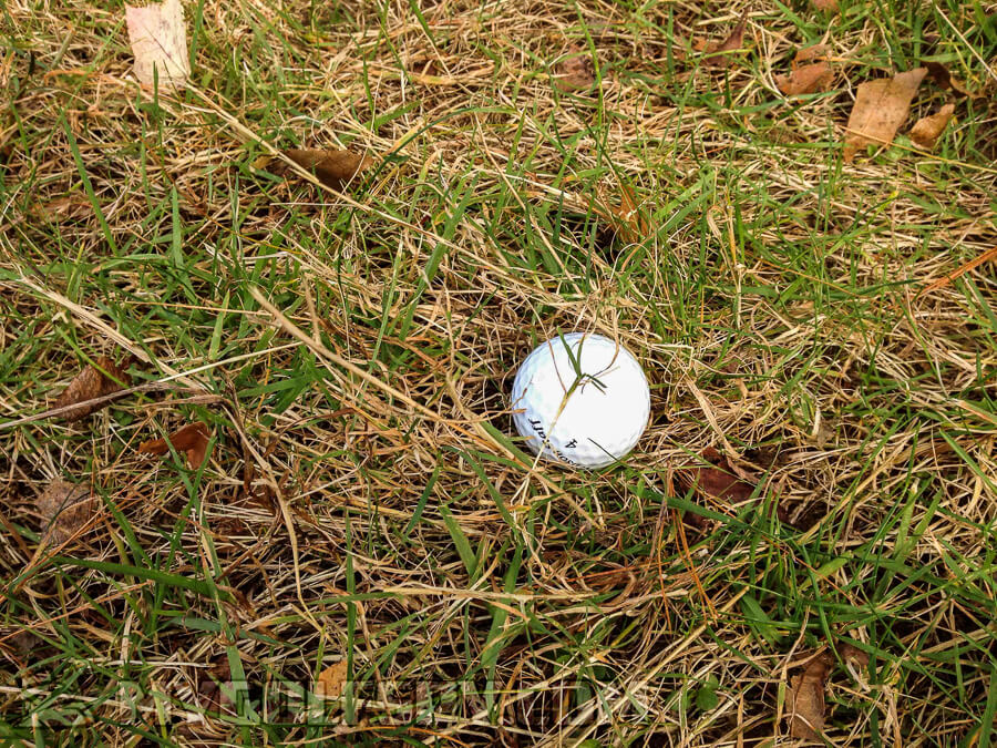 Rough Lie