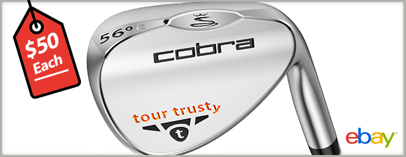 tour-trusty-ebay