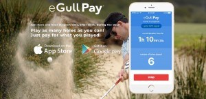 eGull Pay: Growing Golf One Hole at a Time