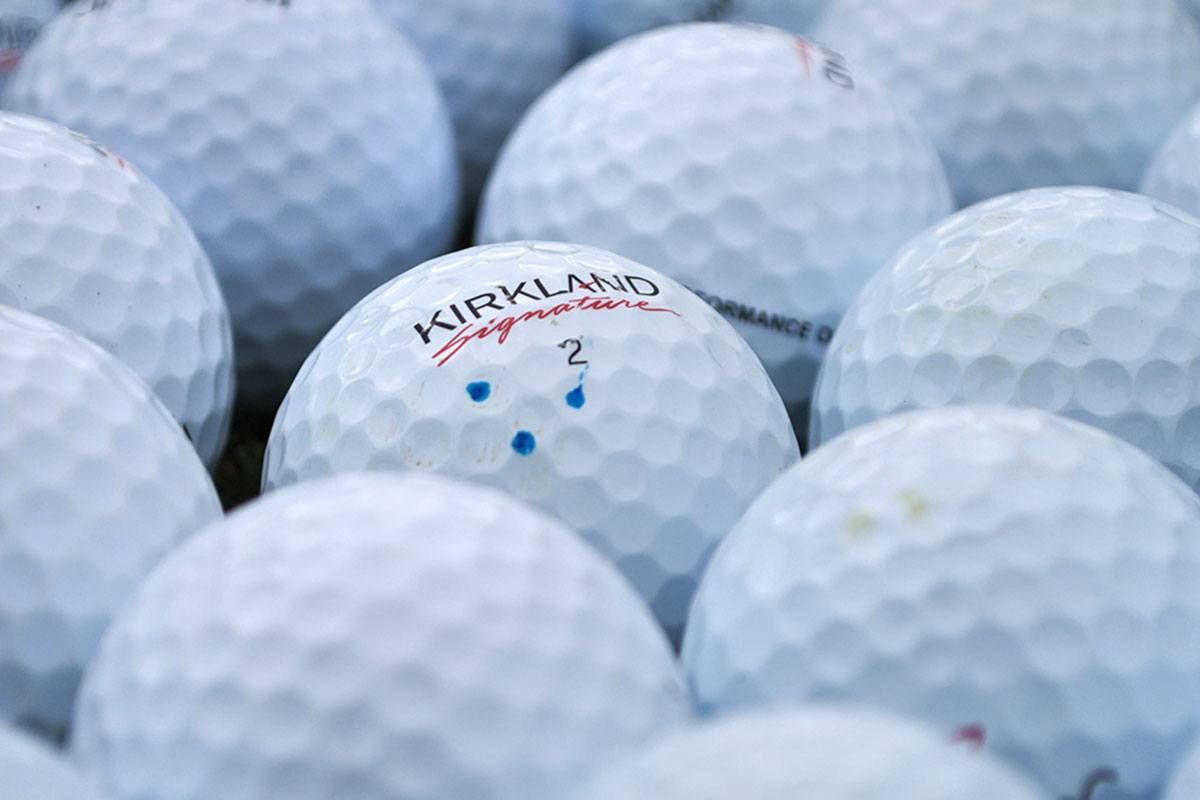 TESTED Kirkland Signature Performance One