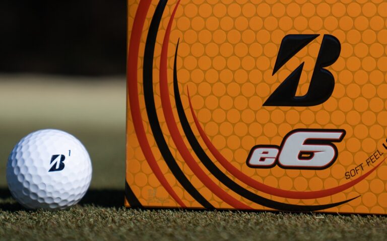 Bridgestone e6