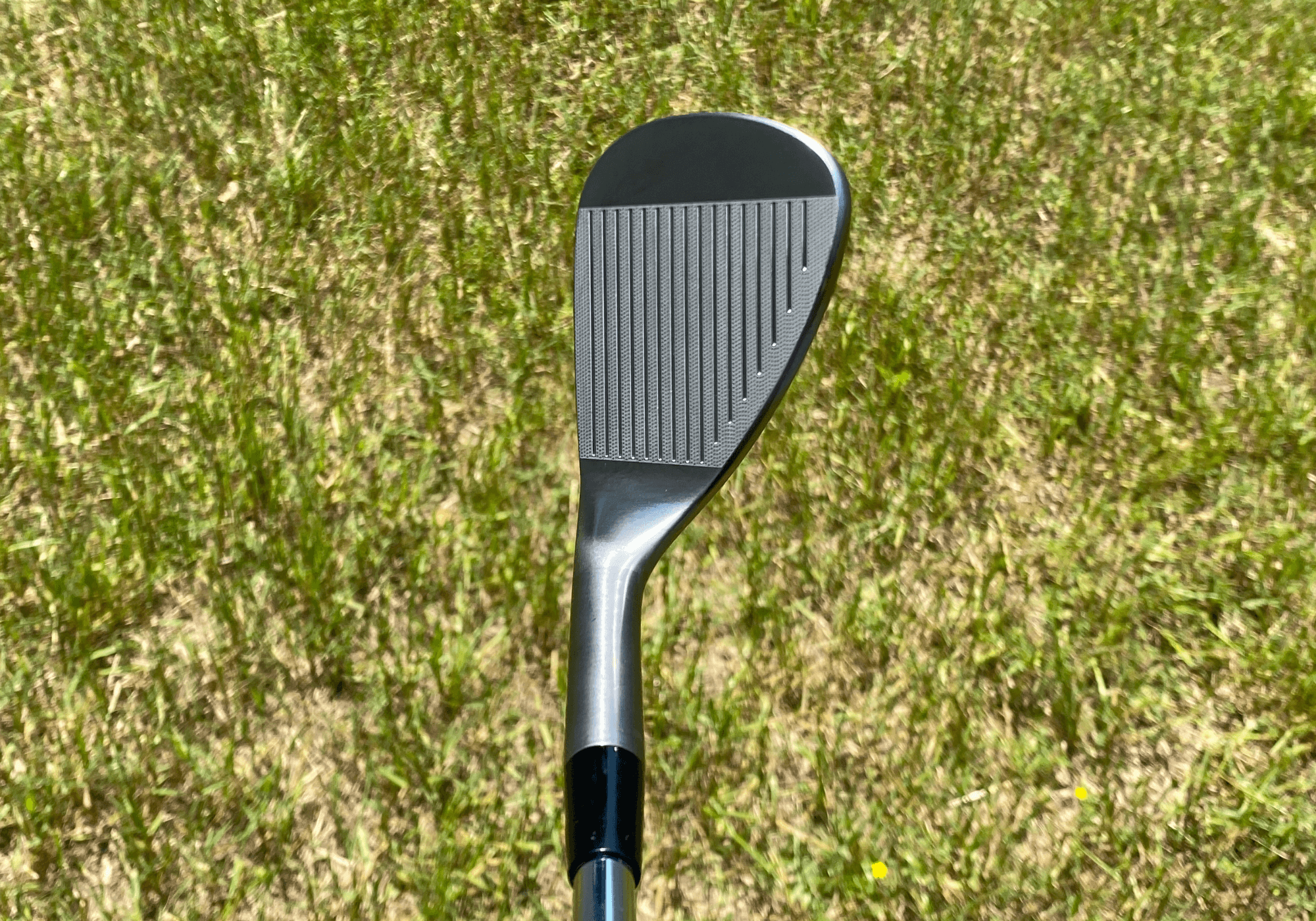 Proto Concept Forged Wedge
