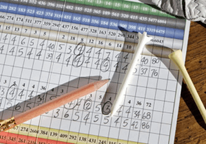 What Does Your Handicap Index Really Mean?