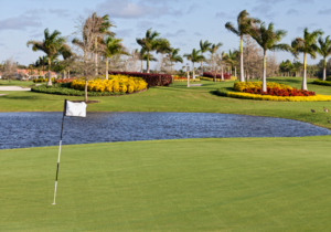 Golfing in the Wind: 5 Adjustments to Make