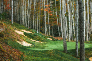 Golf’s Forgotten Sibling – Pitch and Putt