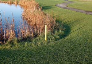 8 Golf Questions Beginners Ask (That Most Avid Golfers Can’t Answer)