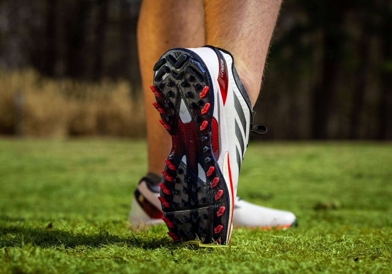 adidas ADIZERO ZG ゴルフシューズ 250 アディゼロ ゼッドジー 25 ボア シューズ(【男性】シューズ)|Adidas