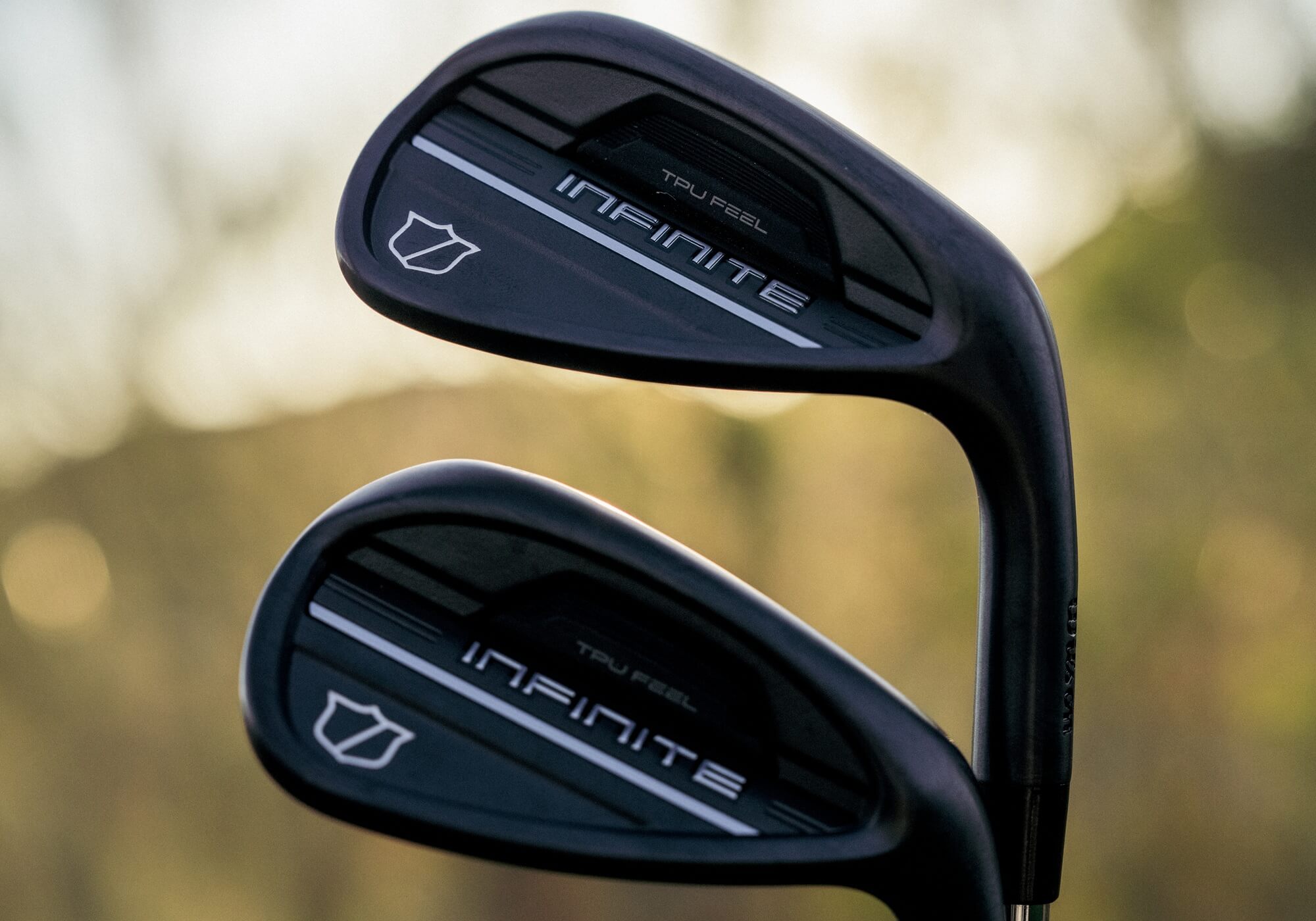 Wilson Infinite Wedge