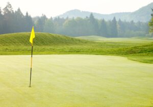 Golf ball on green showing successful shot