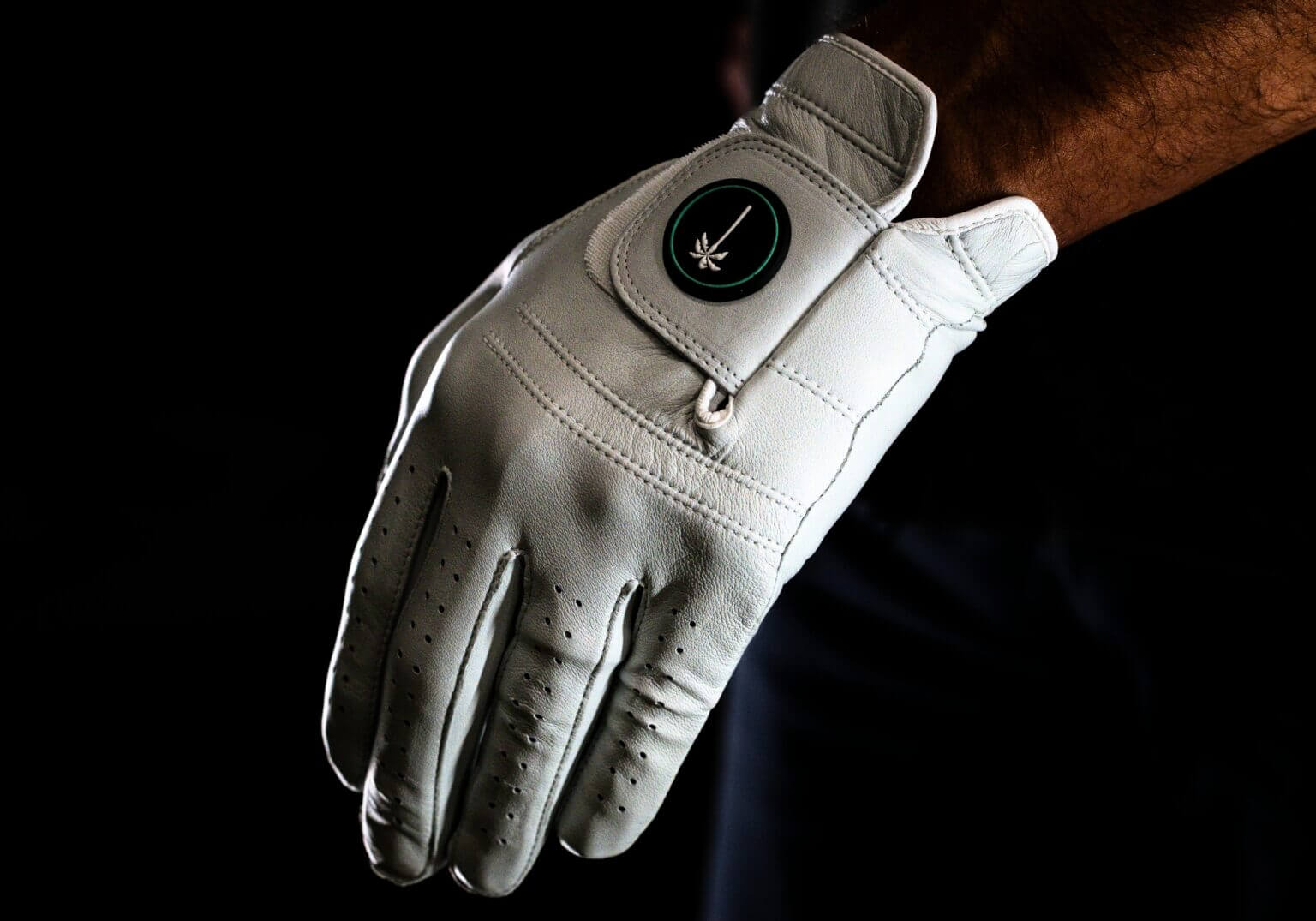 Most Wanted Gloves 2025_Palm Golf Canvas 2
