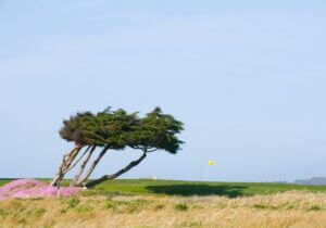 Downwind Versus Upwind: The Adjustments You Should Be Making (But Aren’t)