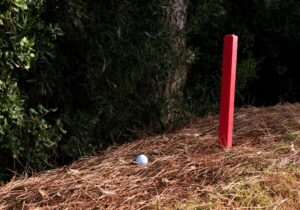 Understanding The Rules: A Beginner’s Guide To Golf’s Core Principles
