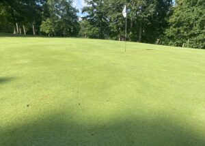 Unfixed Ball Marks Are Officially Out Of Control