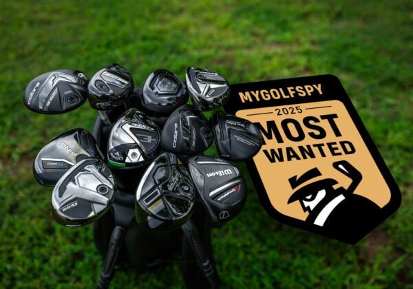 Best hybrids of 2025