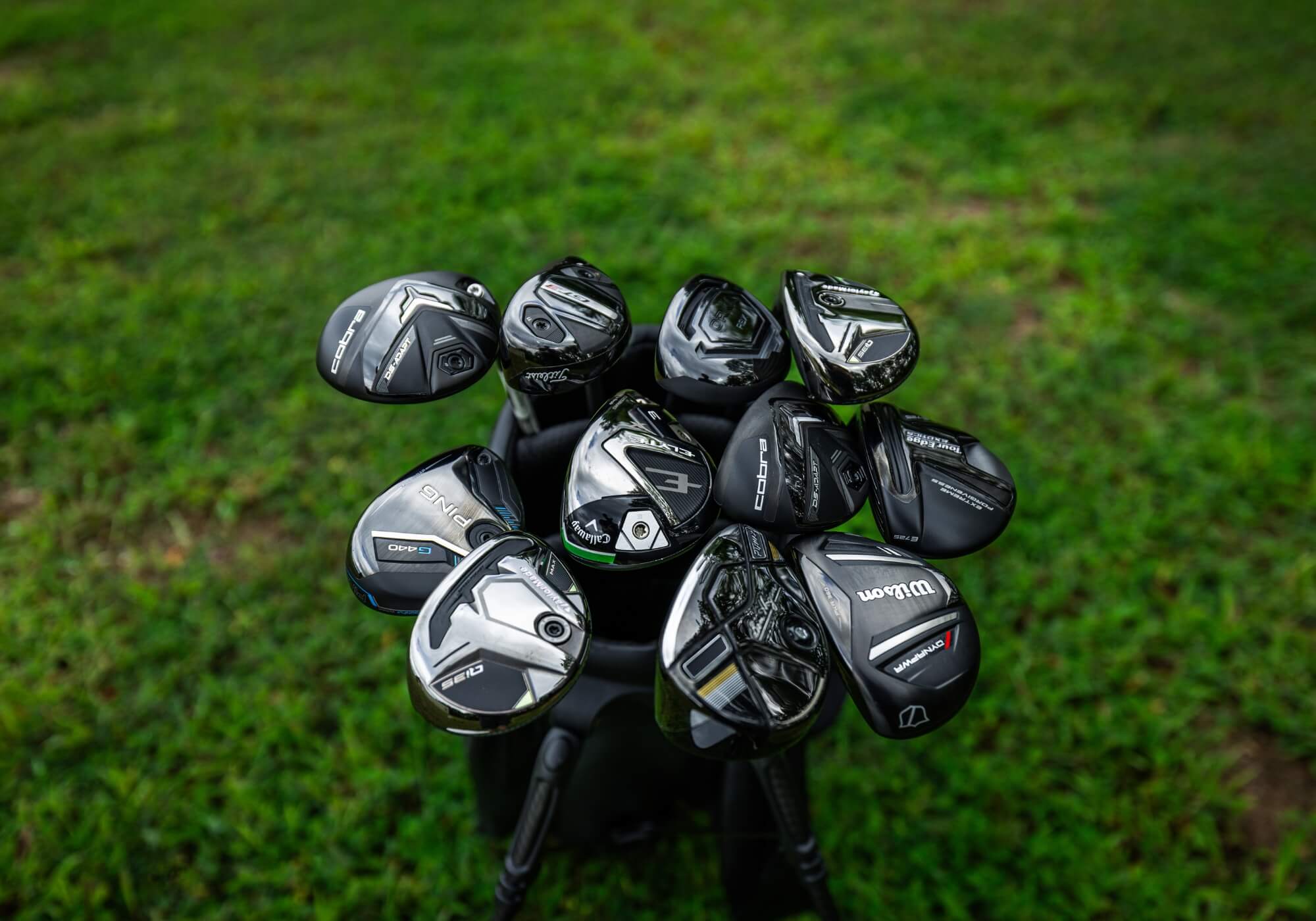 Which hybrid is best for you?