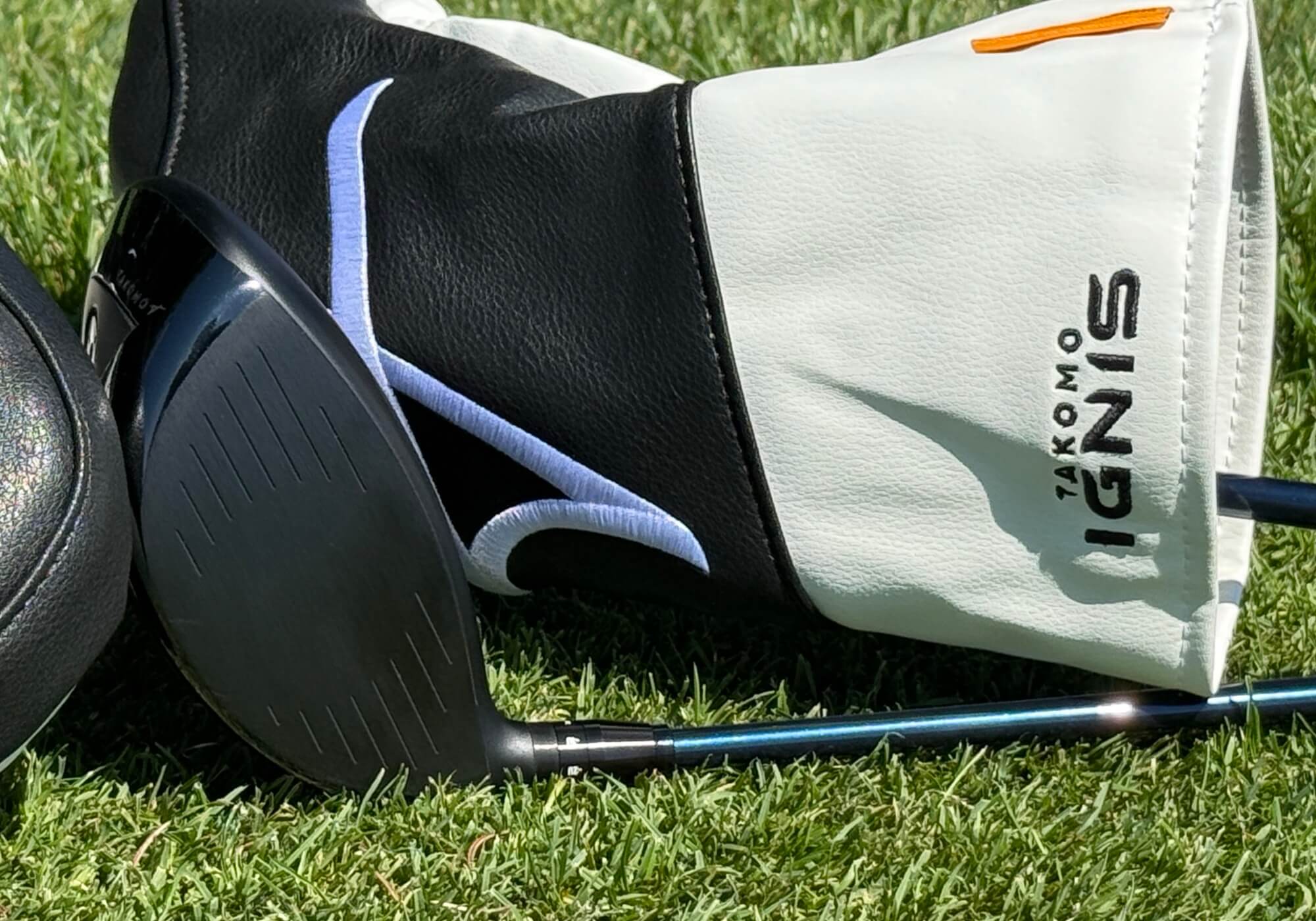 Takomo Ignis D1 driver