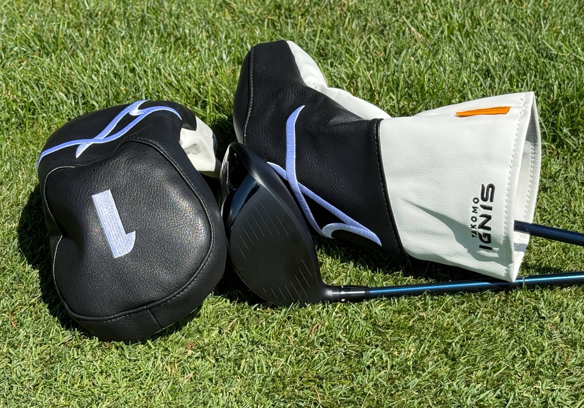 Takomo Ignis D1 driver
