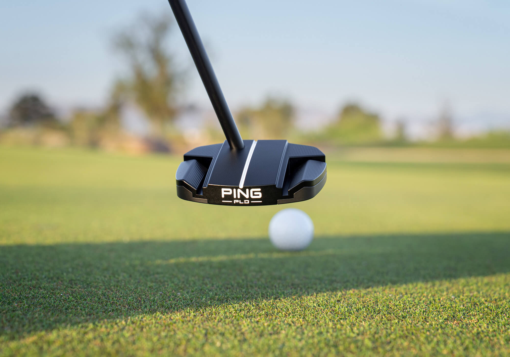 PING PLD パターALLY BLUE4 PLD Milled Anser 2 Satin Putter | PING PLD