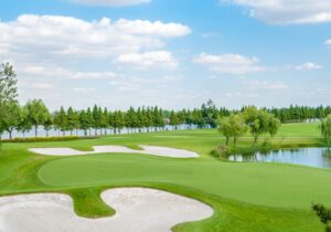 Trouble Shots in Golf: How to Escape Like a Pro