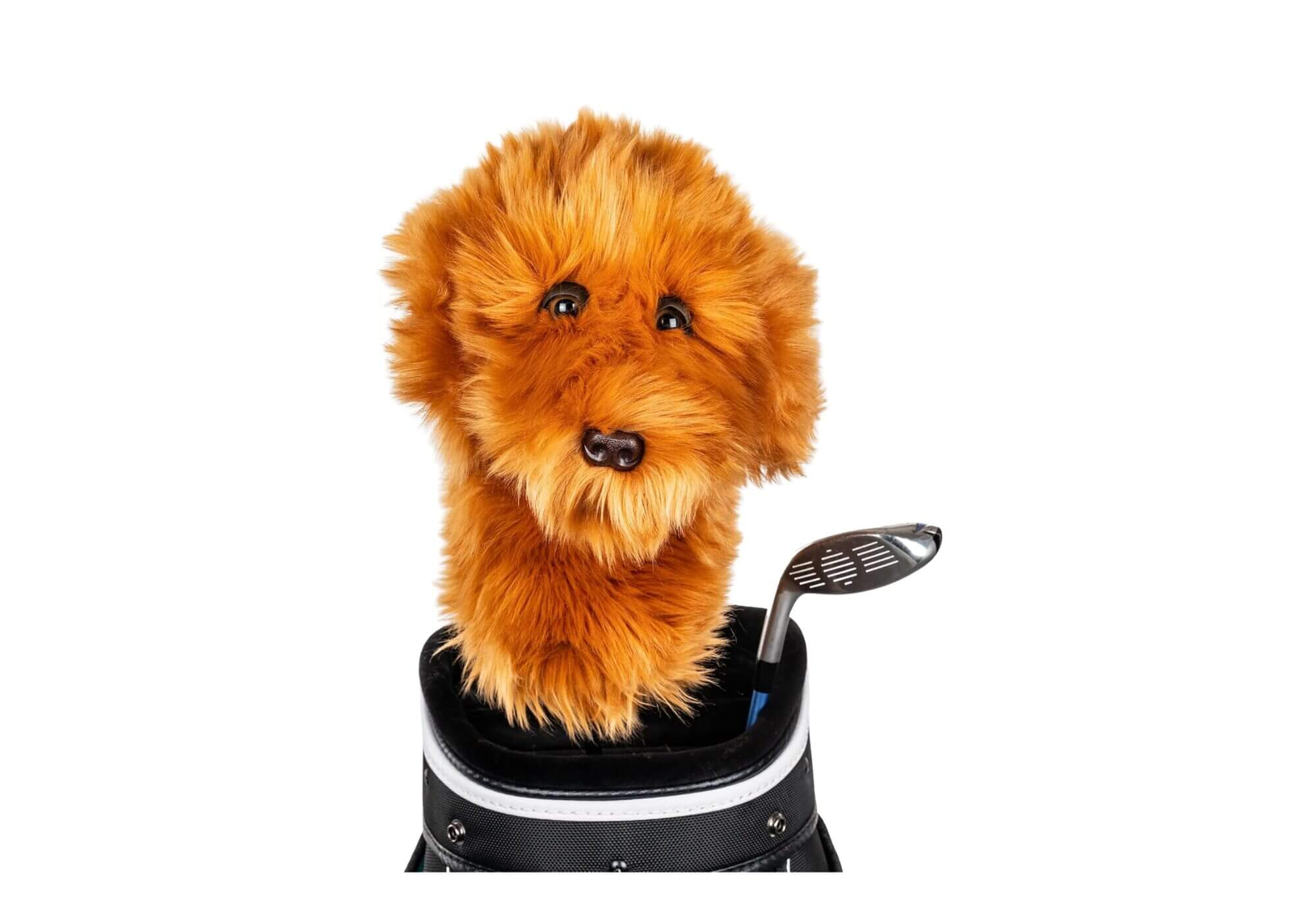 Best Golf Gifts On Amazon Best Gifts on Amazon 8
