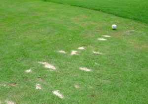 Why Your Divots Point Left (And What That Really Means)