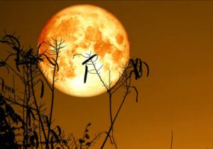 Harvest Moon: Autumnal Thoughts On Golf, Price And Alternatives