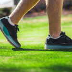 Alma Mater「Beta Lite」