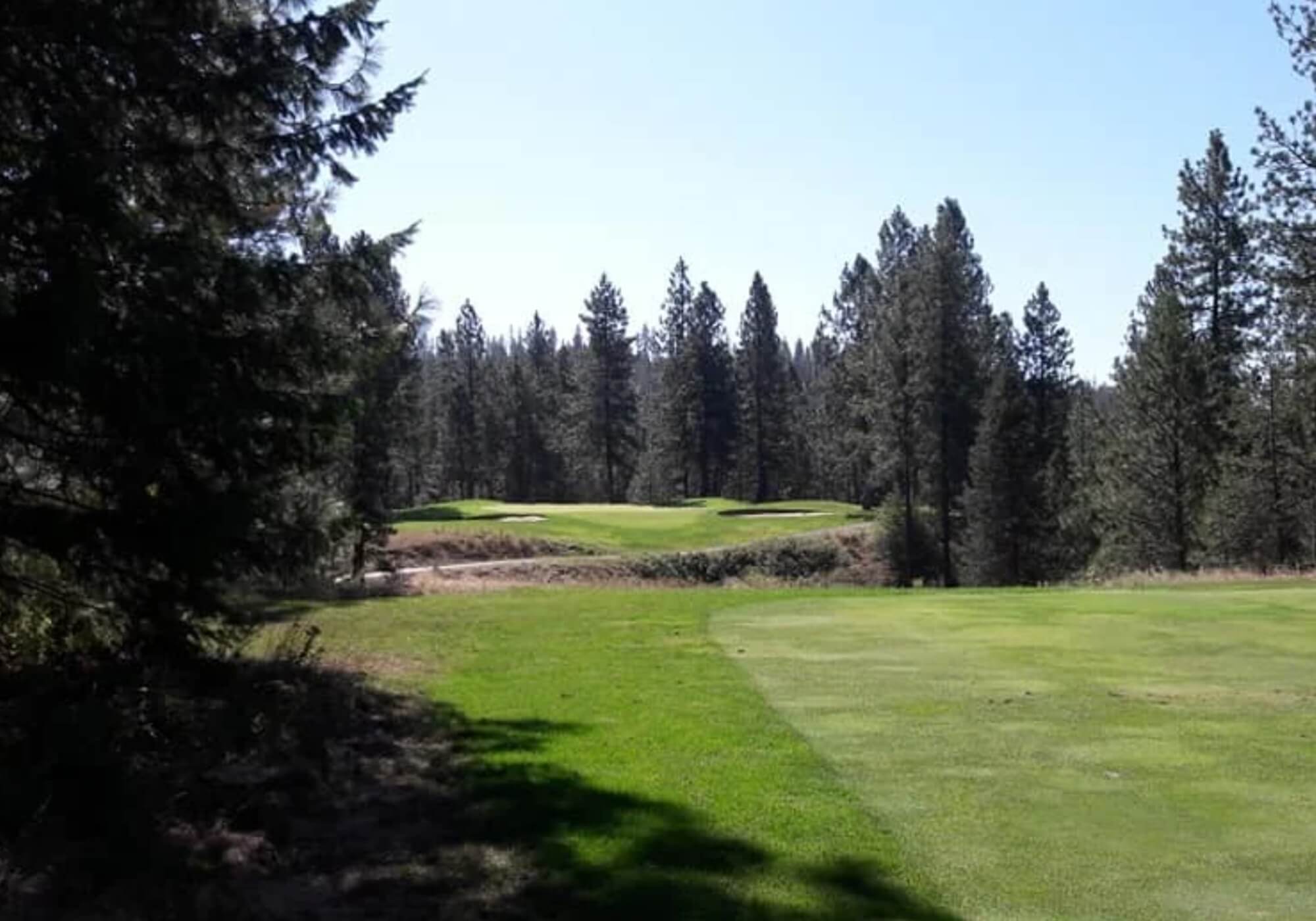 Golf Buddy Trips