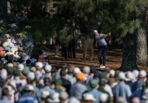 Cut ‘Em Down: Why Tree Removal Is Good For Golf