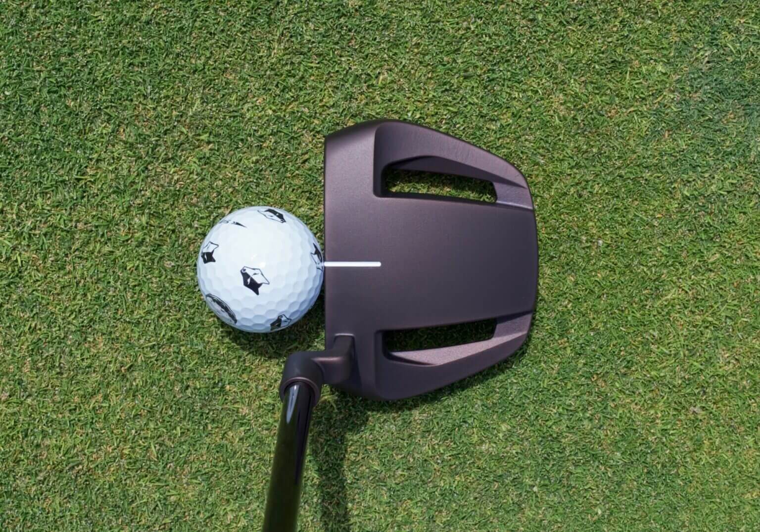 How Hot Are The New TaylorMade Torched Spider Tour Putters