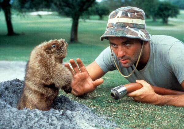 Best Golf Movies