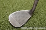 JawsCCWedge-1