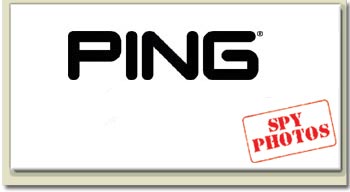 Ping Logo