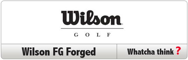wilson-banner-1